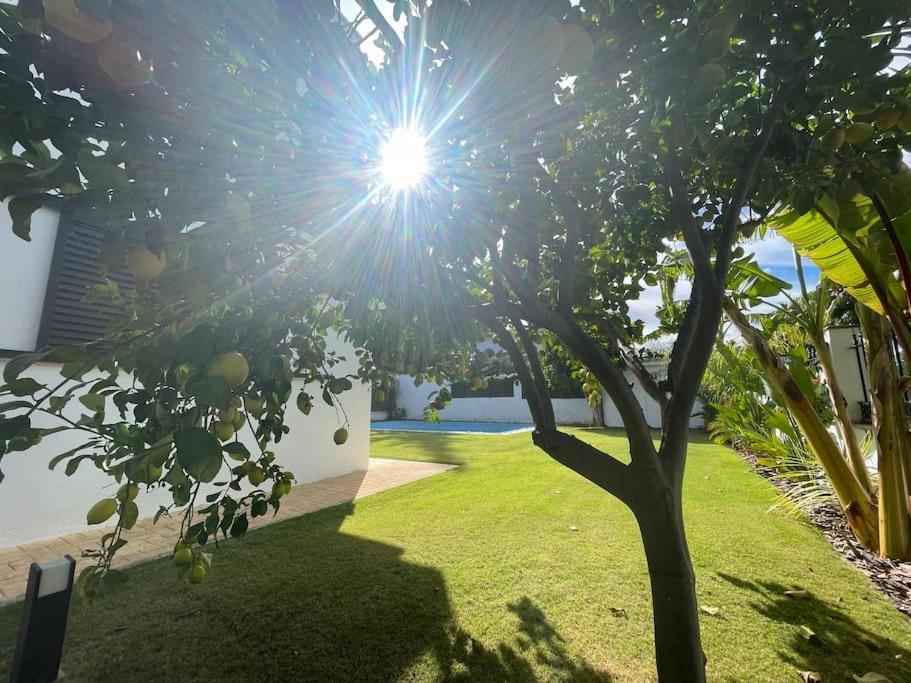 Sunset Villa Arcos Аркос де ла Фронтера Екстериор снимка