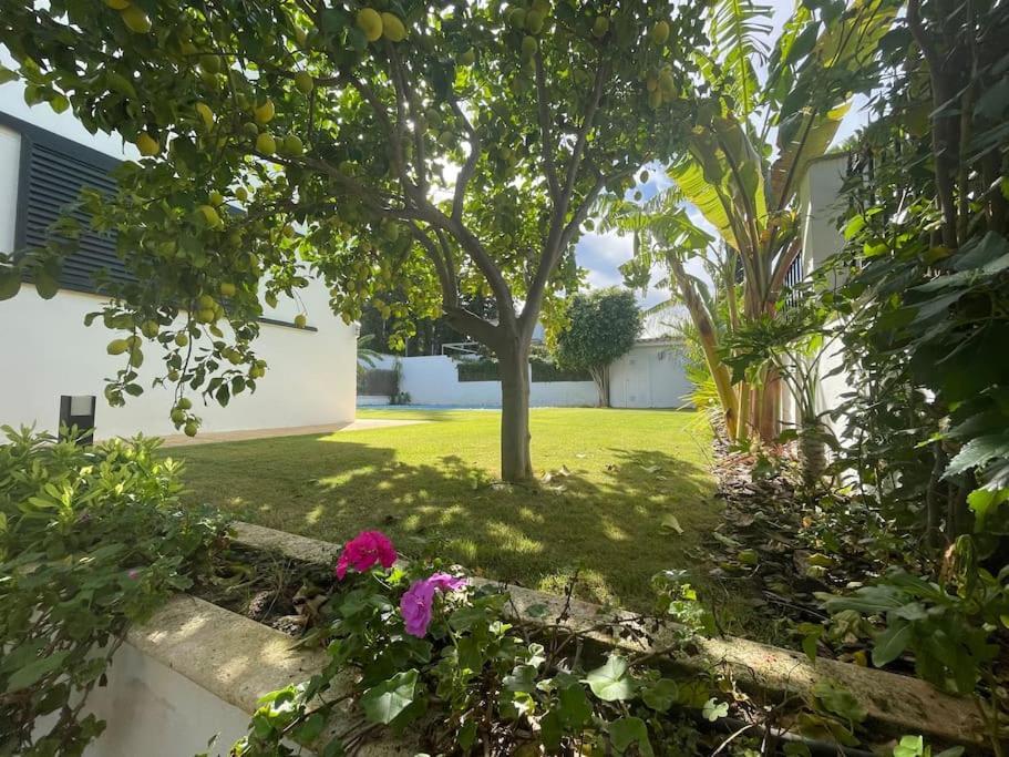 Sunset Villa Arcos Аркос де ла Фронтера Екстериор снимка